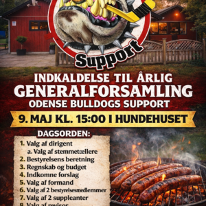 ordinære generalforsamling